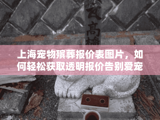 上海宠物殡葬报价表图片，如何轻松获取透明报价告别爱宠？