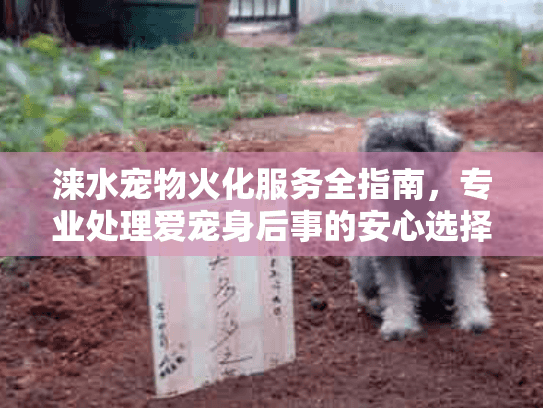涞水宠物火化服务全指南，专业处理爱宠身后事的安心选择