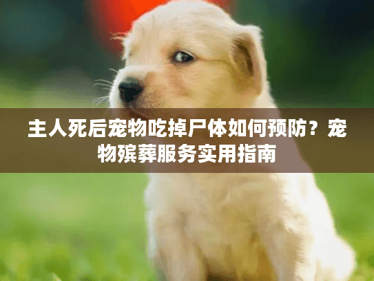 主人死后宠物吃掉尸体如何预防？宠物殡葬服务实用指南