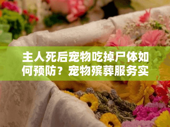 主人死后宠物吃掉尸体如何预防？宠物殡葬服务实用指南