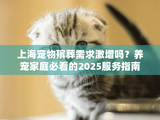 上海宠物殡葬需求激增吗？养宠家庭必看的2025服务指南