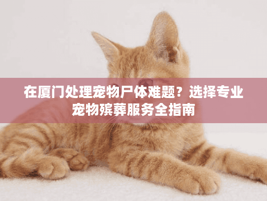 在厦门处理宠物尸体难题？选择专业宠物殡葬服务全指南