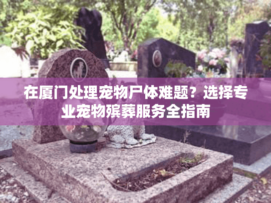 在厦门处理宠物尸体难题？选择专业宠物殡葬服务全指南