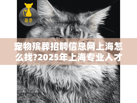 宠物殡葬招聘信息网上海怎么找?2025年上海专业人才招聘攻略