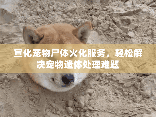 宣化宠物尸体火化服务，轻松解决宠物遗体处理难题