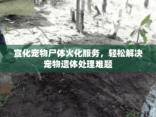宣化宠物尸体火化服务，轻松解决宠物遗体处理难题
