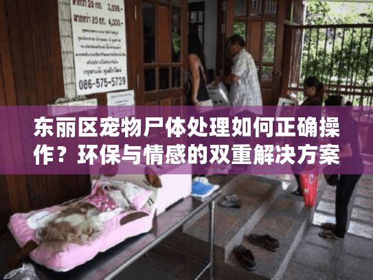 东丽区宠物尸体处理如何正确操作？环保与情感的双重解决方案