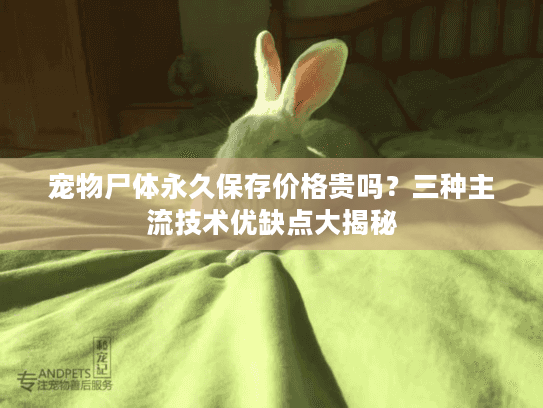 宠物尸体永久保存价格贵吗？三种主流技术优缺点大揭秘