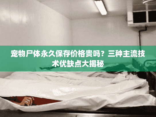 宠物尸体永久保存价格贵吗？三种主流技术优缺点大揭秘