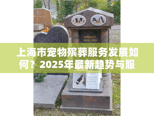 上海市宠物殡葬服务发展如何？2025年最新趋势与服务选择指南