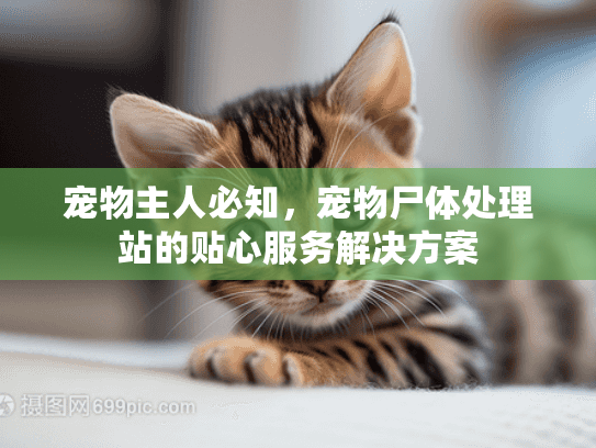 宠物主人必知，宠物尸体处理站的贴心服务解决方案