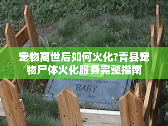宠物离世后如何火化?青县宠物尸体火化服务完整指南