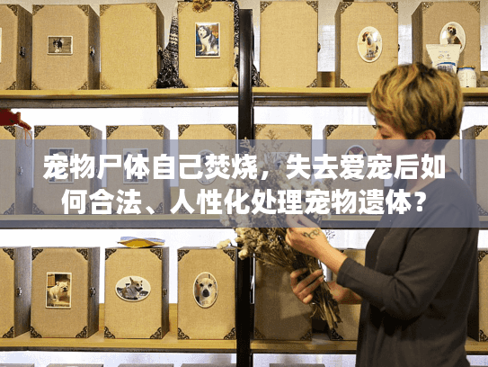 宠物尸体自己焚烧，失去爱宠后如何合法、人性化处理宠物遗体？
