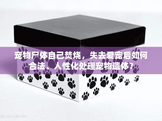 宠物尸体自己焚烧，失去爱宠后如何合法、人性化处理宠物遗体？