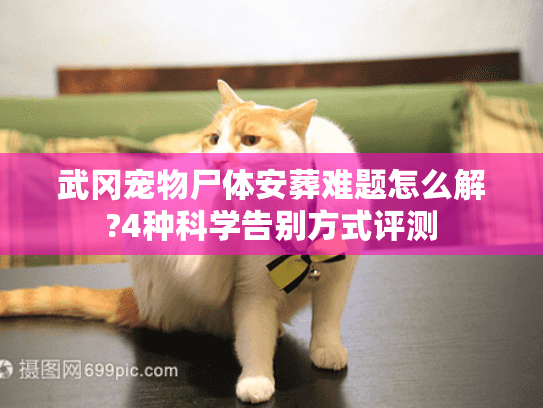 武冈宠物尸体安葬难题怎么解?4种科学告别方式评测