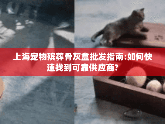 上海宠物殡葬骨灰盒批发指南:如何快速找到可靠供应商?