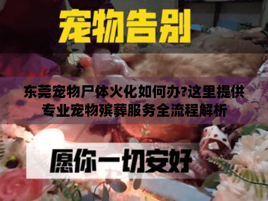 东莞宠物尸体火化如何办?这里提供专业宠物殡葬服务全流程解析