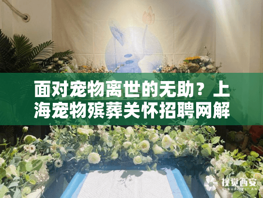 面对宠物离世的无助？上海宠物殡葬关怀招聘网解决专业服务招聘难题！