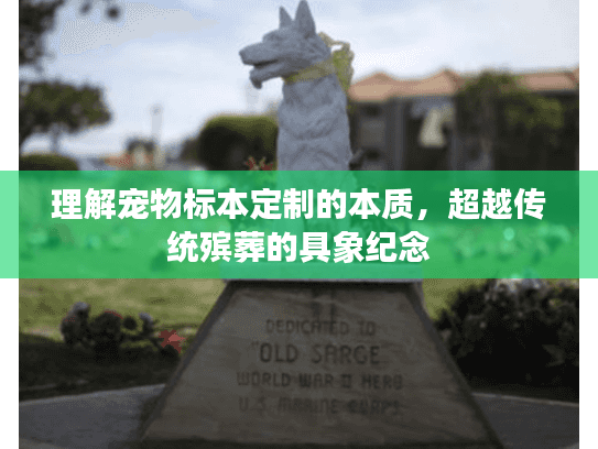 理解宠物标本定制的本质,超越传统殡葬的具象纪念 理解宠物标本定制的本质,超越传统殡葬的具象纪念