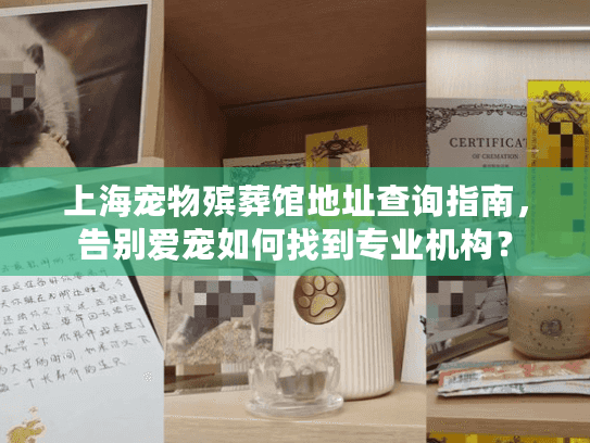 上海宠物殡葬馆地址查询指南，告别爱宠如何找到专业机构？