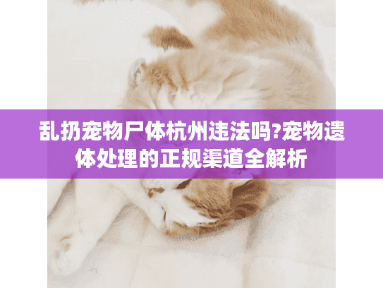 乱扔宠物尸体杭州违法吗?宠物遗体处理的正规渠道全解析