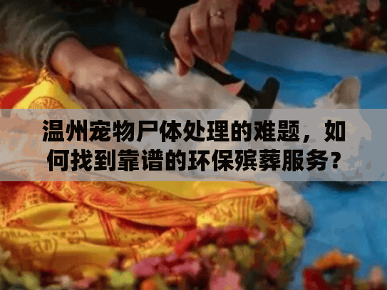 温州宠物尸体处理的难题，如何找到靠谱的环保殡葬服务？