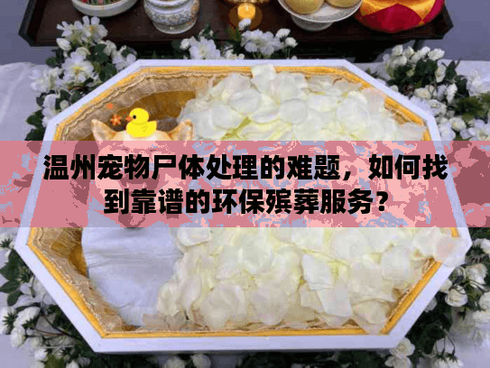 温州宠物尸体处理的难题，如何找到靠谱的环保殡葬服务？