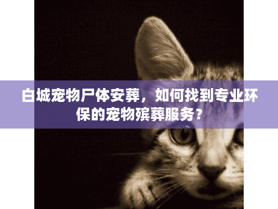 白城宠物尸体安葬，如何找到专业环保的宠物殡葬服务？