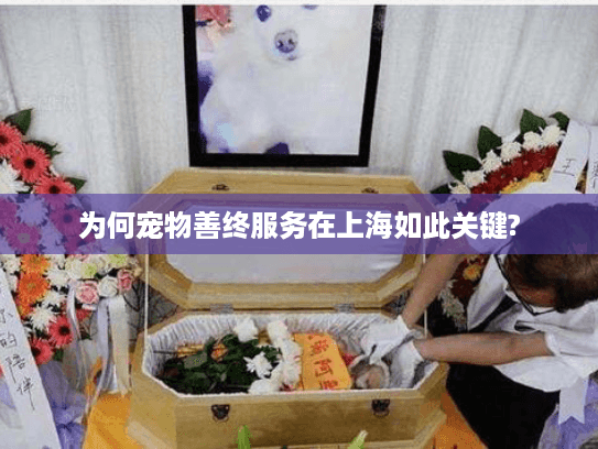 为何宠物善终服务在上海如此关键?
