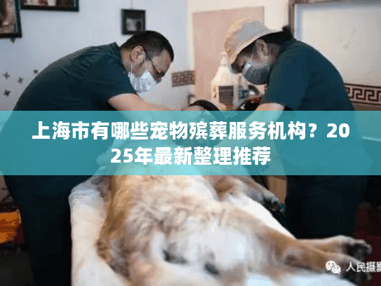 上海市有哪些宠物殡葬服务机构？2025年最新整理推荐