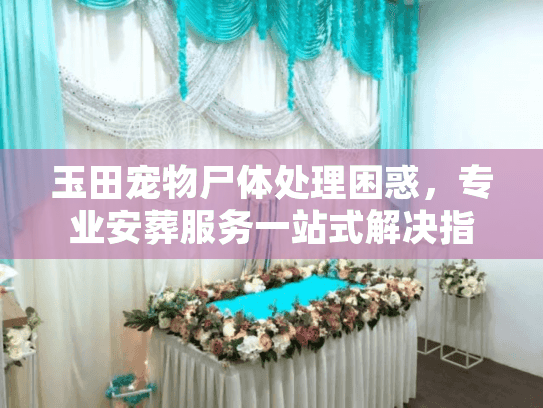 玉田宠物尸体处理困惑，专业安葬服务一站式解决指南