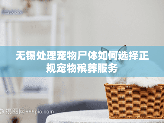 无锡处理宠物尸体如何选择正规宠物殡葬服务