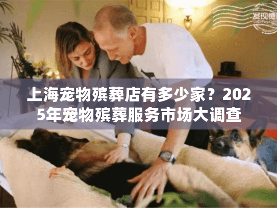 上海宠物殡葬店有多少家？2025年宠物殡葬服务市场大调查