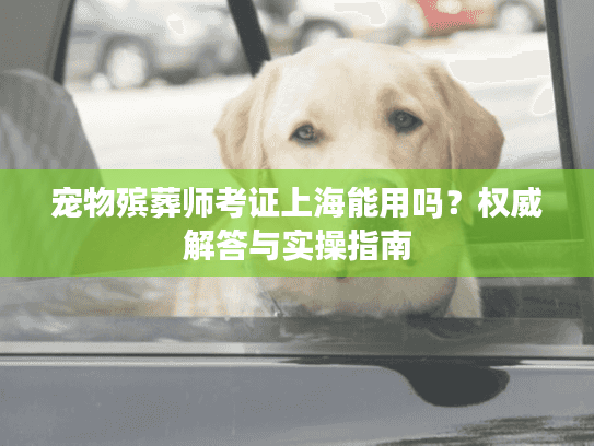 宠物殡葬师考证上海能用吗？权威解答与实操指南