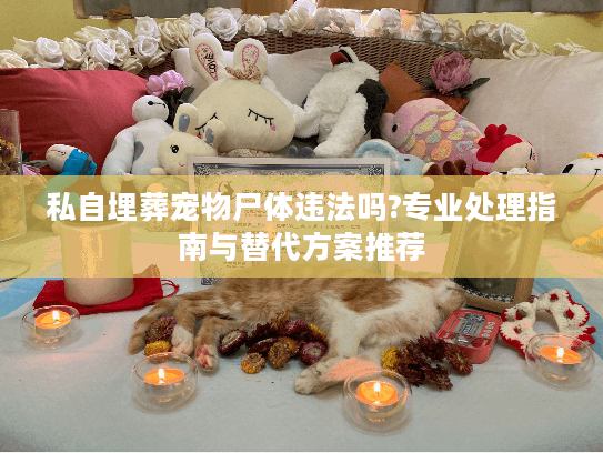 私自埋葬宠物尸体违法吗?专业处理指南与替代方案推荐