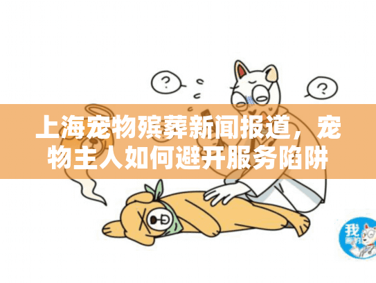 上海宠物殡葬新闻报道，宠物主人如何避开服务陷阱？