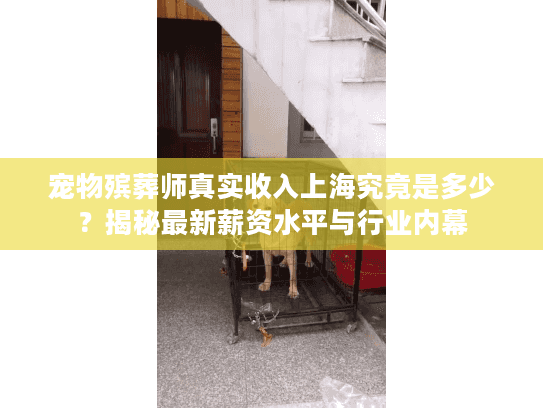 宠物殡葬师真实收入上海究竟是多少？揭秘最新薪资水平与行业内幕
