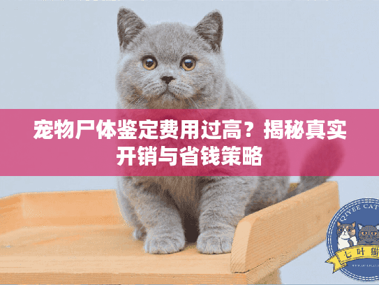 宠物尸体鉴定费用过高？揭秘真实开销与省钱策略