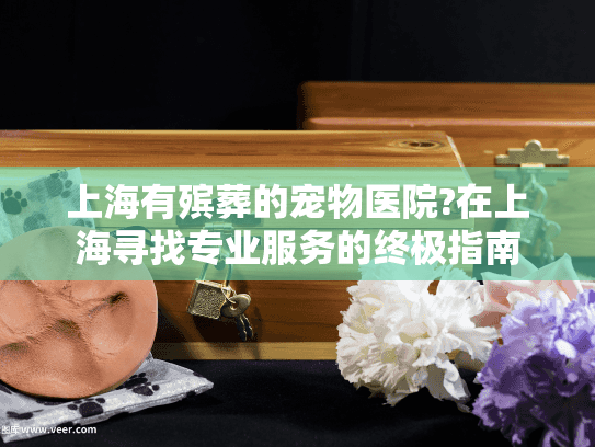 上海有殡葬的宠物医院?在上海寻找专业服务的终极指南