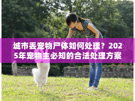 城市丢宠物尸体如何处理？2025年宠物主必知的合法处理方案