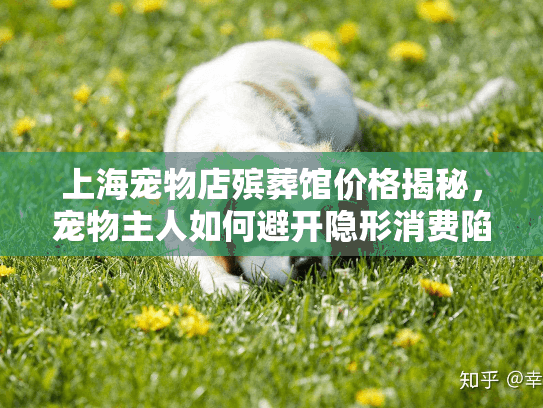 上海宠物店殡葬馆价格揭秘，宠物主人如何避开隐形消费陷阱
