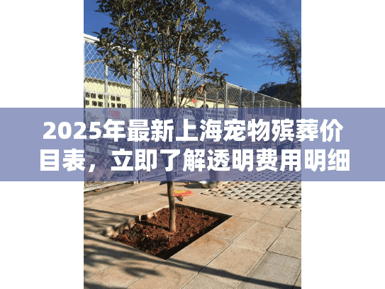 2025年最新上海宠物殡葬价目表，立即了解透明费用明细