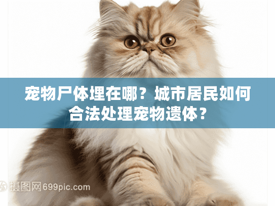 宠物尸体埋在哪？城市居民如何合法处理宠物遗体？