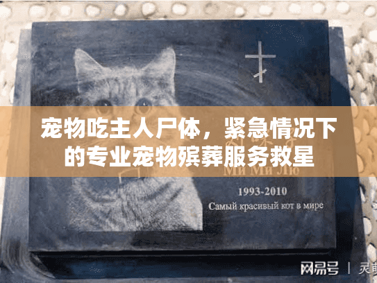 宠物吃主人尸体，紧急情况下的专业宠物殡葬服务救星