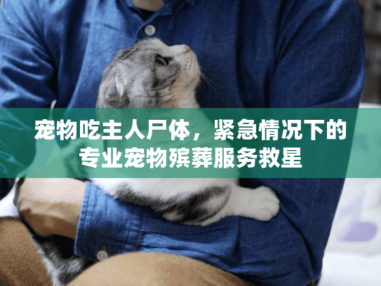 宠物吃主人尸体，紧急情况下的专业宠物殡葬服务救星