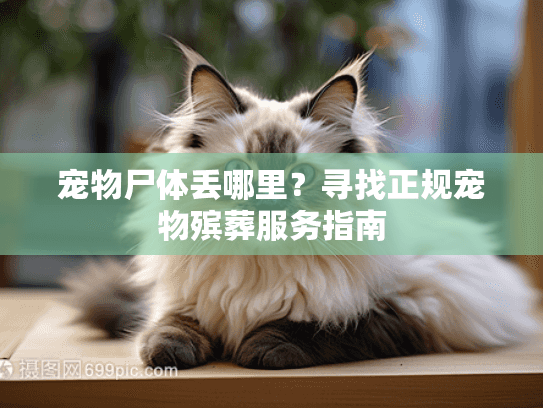 宠物尸体丢哪里？寻找正规宠物殡葬服务指南