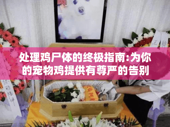 处理鸡尸体的终极指南:为你的宠物鸡提供有尊严的告别