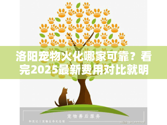 洛阳宠物火化哪家可靠？看完2025最新费用对比就明白了