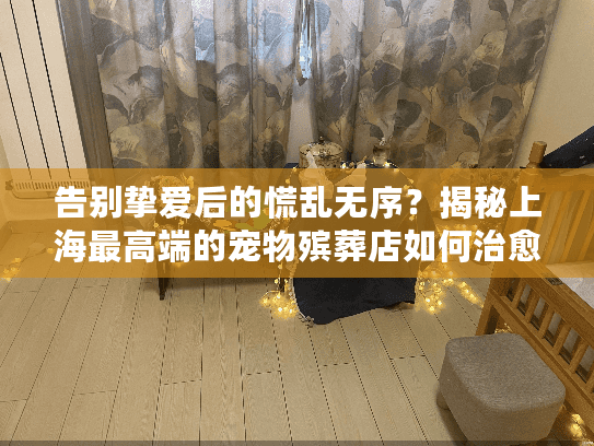 告别挚爱后的慌乱无序？揭秘上海最高端的宠物殡葬店如何治愈创伤