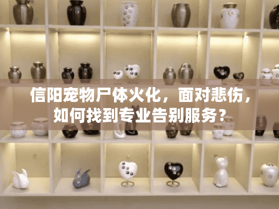 信阳宠物尸体火化，面对悲伤，如何找到专业告别服务？
